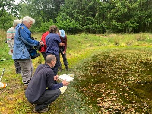 SCRA members analysing damselflys at a lake